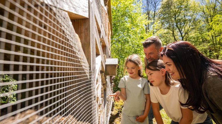 Une famille regarde avec enthousiasme des animaux derrière une clôture. C'est une journée ensoleillée et la nature qui les entoure est verte et accueillante.
