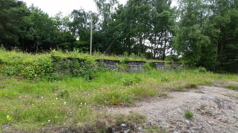 Eine verlassene Steinmauer, überwuchert mit Gras und Pflanzen. Im Hintergrund sind Bäume und ein bewölkter Himmel sichtbar.