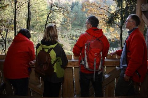 Vier Personen stehen an einem Aussichtspunkt im Wald und schauen auf die wunderschöne Landschaft. Sie tragen rote Jacken und genießen die herbstliche Atmosphäre.