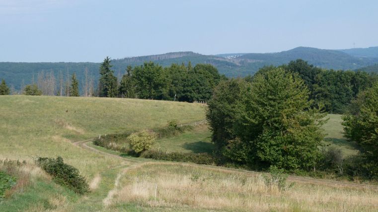 Eine malerische Landschaft mit sanften Hügeln und grünem Gras. Im Hintergrund sind Bäume und Berge sichtbar.