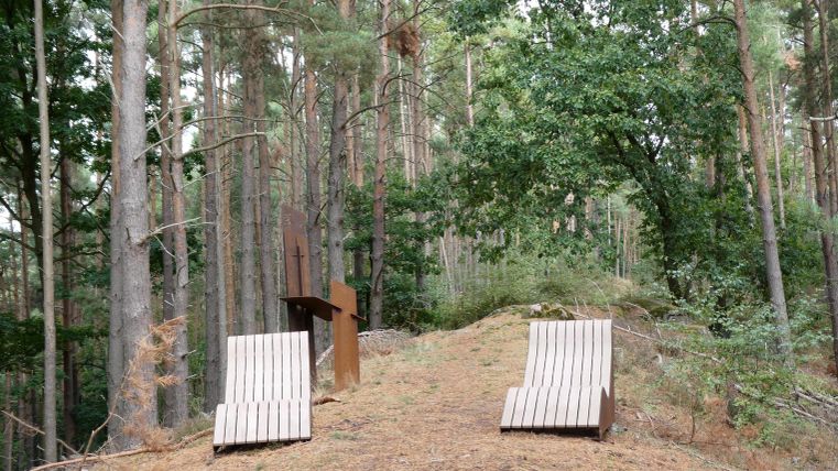 Zwei Liegestühle stehen in einem ruhigen Wald mit hohen Bäumen. Der Boden ist mit Laub und Erde bedeckt, umgeben von viel grünem Gestrüpp.