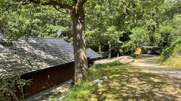 Een rustige natuuromgeving met een houten huis en bomen. Het pad loopt door het groene terrein en het lijkt een zonnige dag te zijn.