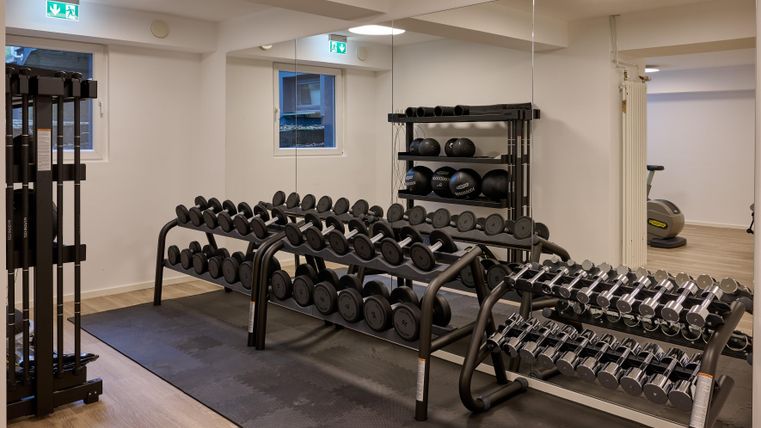 Ein modernes Fitnessstudio mit verschiedenen Hanteln und einem klaren, hellen Raum. Die Ausstattung ist ordentlich und gut organisiert.