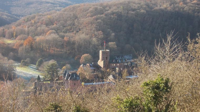 Eine malerische Ansicht einer alten Burg, umgeben von sanften Hügeln und herbstlichen Bäumen. Die Architektur der Burg kontrastiert schön mit der natürlichen Umgebung.
