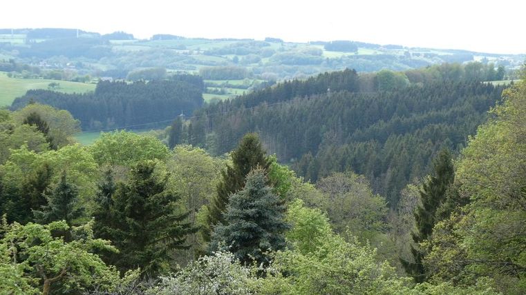 Un paysage vert avec de nombreux arbres et des collines douces. Le ciel est nuageux, ce qui crée une atmosphère paisible.