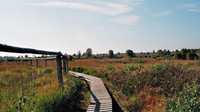 Un chemin en bois traverse un vaste paysage vert. Au loin, on peut voir des arbres et un ciel clair.