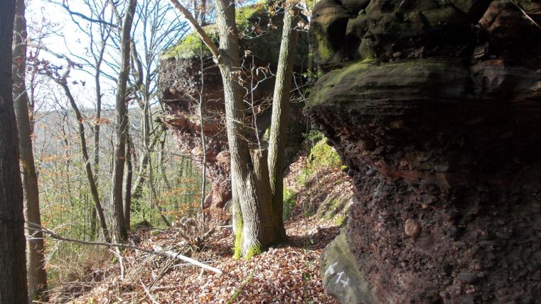 Eine felsige Landschaft mit Bäumen und herabfallendem Laub. Im Hintergrund sind grüne Hügel und Felsen sichtbar.