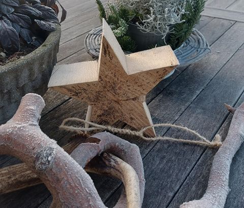 Ein dekorativer Holzstern liegt auf einem Holztisch neben mehreren Ästen und einem Pflanzgefäß mit grünen Pflanzen. Die Szene hat ein rustikales, gemütliches Ambiente.