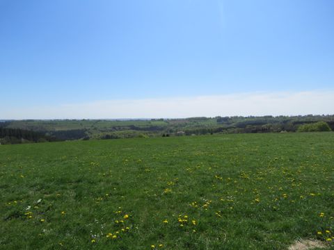 Een uitgestrekt grasland met vers gras en gele paardenbloemen. De lucht is helder en blauw, met zachte heuvels op de achtergrond.