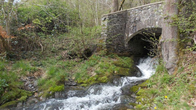 Ein kleiner Wasserfall fließt unter einer steinernen Brücke hindurch. Umgeben von üppigem Grün und Bäumen.