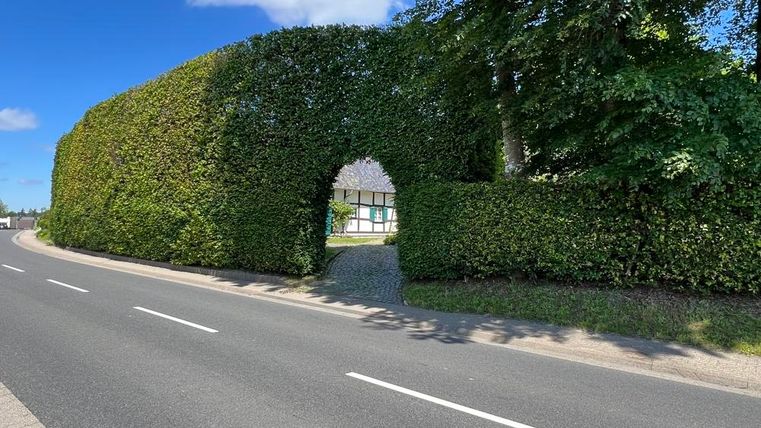 Ein grüner, lebendiger Heckenbogen bildet einen Durchgang zur anderen Seite der Straße. Im Hintergrund sind Gebäude und blauer Himmel sichtbar.