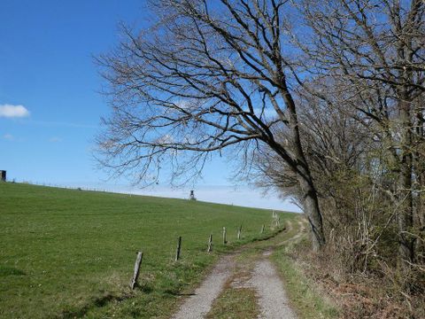 Ein ruhiger Weg führt durch eine grüne Landschaft mit einem Bäume und blauem Himmel. Am Horizont ist ein kleiner Turm sichtbar.