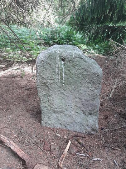 Ein großer, moosbedeckter Stein steht im Wald. Um ihn herum sind Grünpflanzen und ländlicher Untergrund sichtbar.