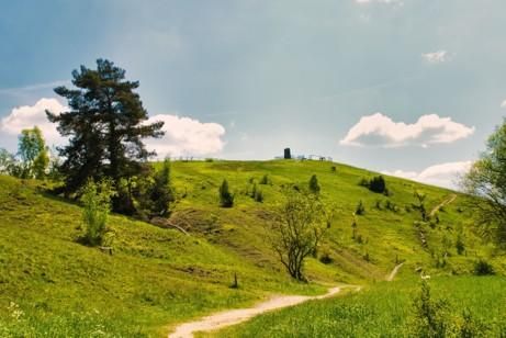 Eine grüne Hügellandschaft mit einem Wanderweg und einigen Bäumen. Der Himmel ist blau mit weißen Wolken.