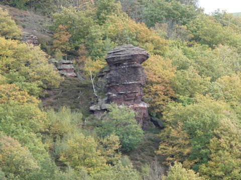 Ein markanter Felsen steht zwischen buntem Laub in einem hügeligen Wald. Die herbstlichen Farben verleihen der Szene eine malerische Atmosphäre.