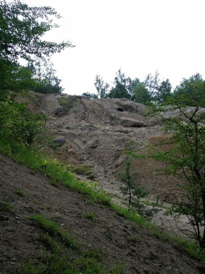Eine steile Sand- und Erdfläche mit grünem Bewuchs am Rand. Im Hintergrund sind Bäume und ein grauer Himmel sichtbar.