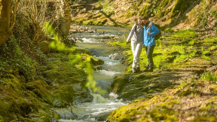 Two people are hiking along a small, clear stream. The surroundings are green and untouched by humans.