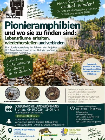Ein Informationsplakat für eine Sonderausstellung über Pionieramphibien im Museum in der Torburg. Es erläutert die Bedeutung von Lebensräumen und den Schutz der Arten.