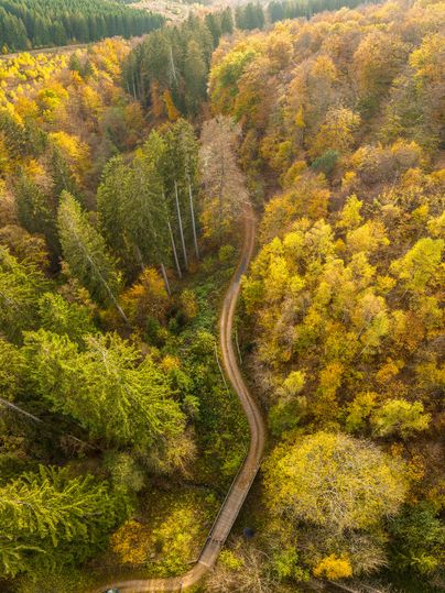 Zu sehen ist der herbstliche Nationalpark aus der Vogelperspektive