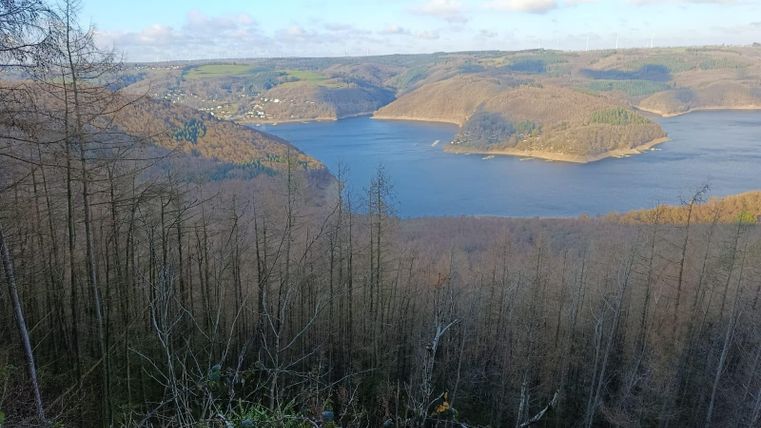 Ein malerischer Ausblick auf einen See, umgeben von sanften Hügeln und kahlen Bäumen. Der Himmel ist teilweise bewölkt und die Landschaft strahlt Ruhe aus.