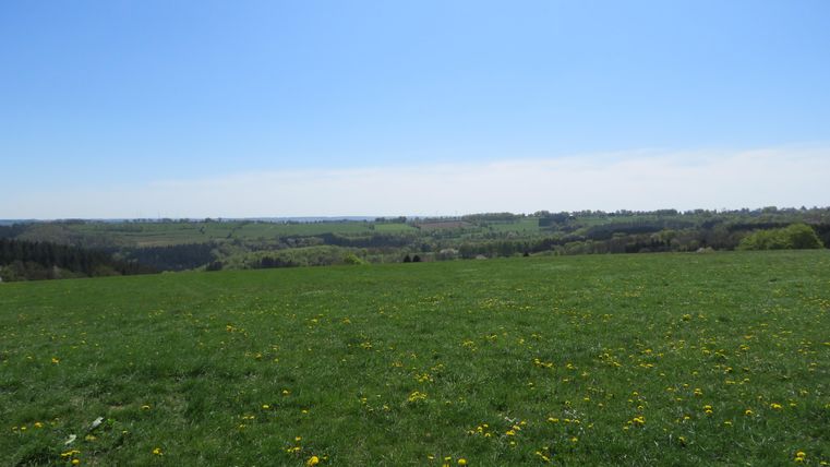 Een uitgestrekt grasland met vers gras en gele paardenbloemen. De lucht is helder en blauw, met zachte heuvels op de achtergrond.