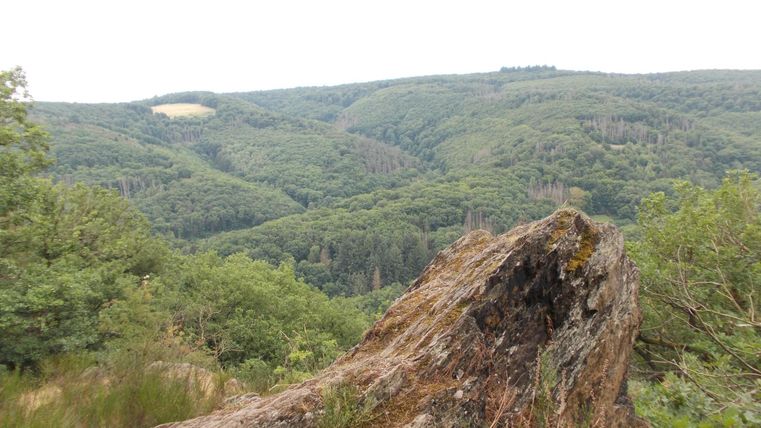 An impressive landscape with gentle hills and lush forests. In the foreground, there is a large rock.