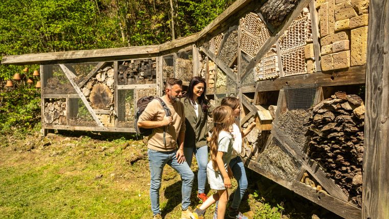 Une famille explore un hôtel à insectes en plein air. Il est composé de différents matériaux naturels et se trouve dans un environnement verdoyant.
