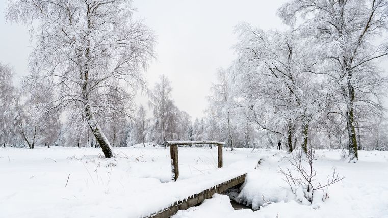Die Struffeltroute komplett mit Schnee bedeckt