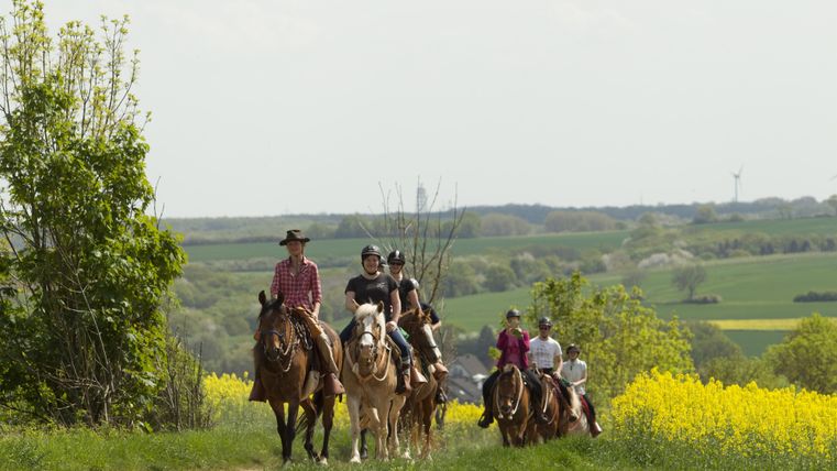 Un groupe de cavaliers qui chevauchent le long d'un chemin pittoresque. En arrière-plan, on peut voir des champs verts et des arbres.