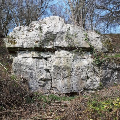 Ein großer Felsblock mit aufgerissener Oberfläche, umgeben von Büsche und Bäumen. Der Himmel ist blau und klar.