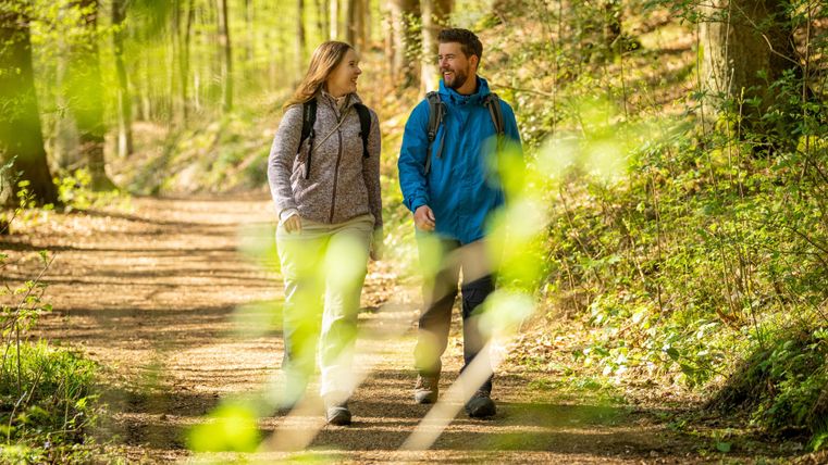 Un couple se promène tranquillement le long d'un chemin forestier. Le soleil brille et enveloppe la scène d'une lumière chaude.