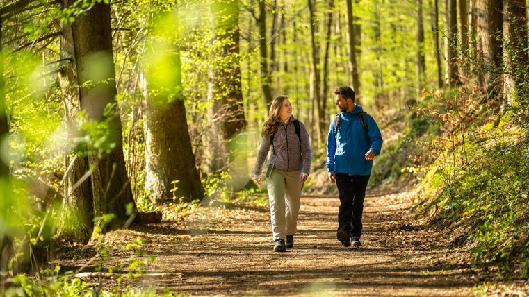 Deux personnes se promènent sur un chemin forestier. Entourées d'arbres verts et de lumière naturelle, elles apprécient l'air frais.