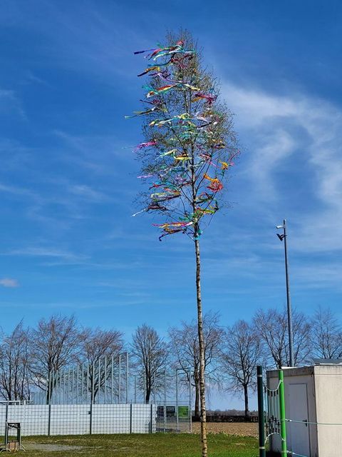 Ein schlanker Baum mit bunten Bändern, die in der Luft wehen. Der Himmel ist blau und klar mit wenigen Wolken.