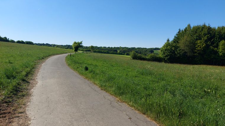 A narrow path runs through a green field under a clear blue sky. On the right, there are trees surrounding the area.
