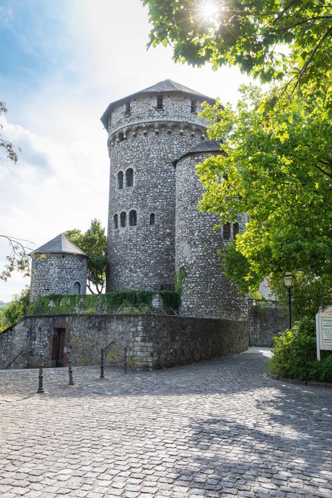 Eine alte Steinburg mit runden Türmen und einer von Bäumen umgebenen Umgebung. Der Himmel ist blau und sonnig.