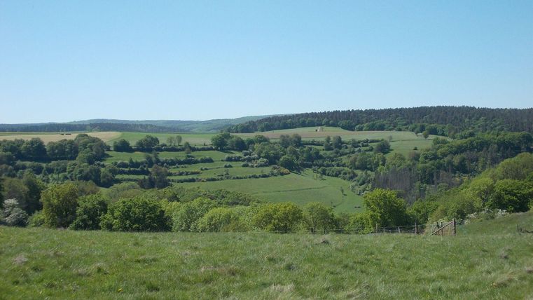 Eine grüne Hügellandschaft mit Bäumen und einem klaren blauen Himmel. Die Wiesen sind saftig und weitläufig.