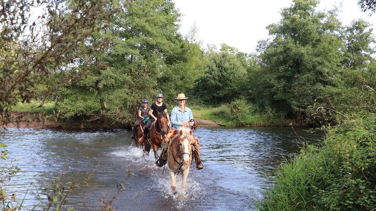 Trois cavaliers traversent un ruisseau peu profond. Ils chevauchent à travers un paysage verdoyant et naturel.