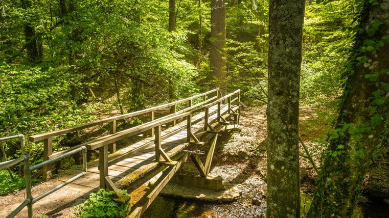 Un pont en bois traverse un petit ruisseau dans une forêt dense et verte. La lumière du soleil pénètre à travers le feuillage, créant une atmosphère paisible.