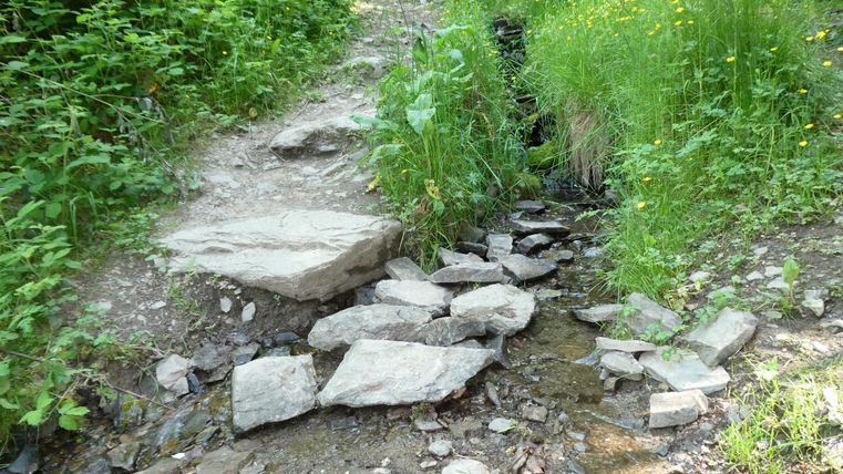 Ein kleiner Bach fließt über steinerne Wege in einer grünen Umgebung. Üppiges Gras und wild blühende Pflanzen umgeben die Szene.