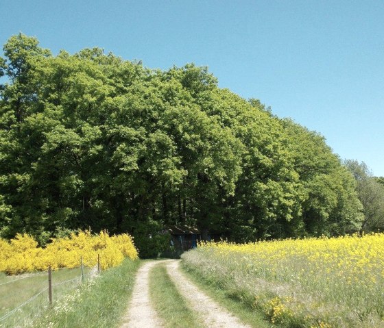 Wanderung auf offenen Flächen, © Eifel heimisch