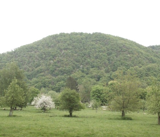 Bildchesberg, © Eifel heimisch