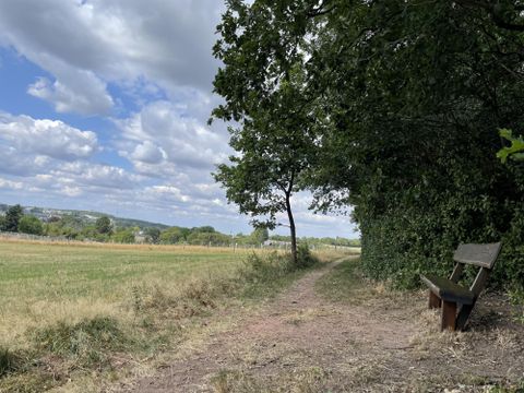 Ein ruhiger Weg in der Natur mit einer Bank und Bäumen. Der Himmel ist von Wolken bedeckt und die Landschaft ist grün.