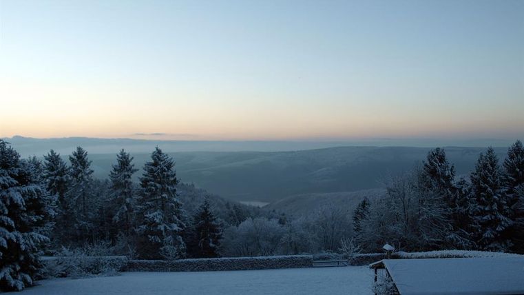 Eine winterliche Landschaft mit schneebedeckten Bäumen und sanften Hügeln. Der Himmel hat einen schönen Farbverlauf in den frühen Morgenstunden.