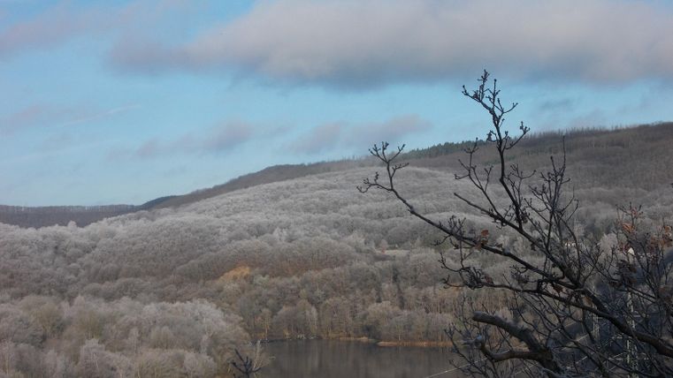Eine verschneite Landschaft mit gefrorenen Bäumen und einem ruhigen Fluss im Vordergrund. Der Himmel ist klar mit einigen Wolken.