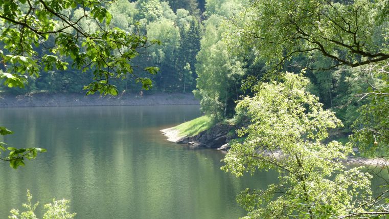 Ein ruhiger See, umgeben von grünen Bäumen und üppiger Vegetation. Das Wasser spiegelt die Landschaft wider und schafft eine friedliche Atmosphäre.