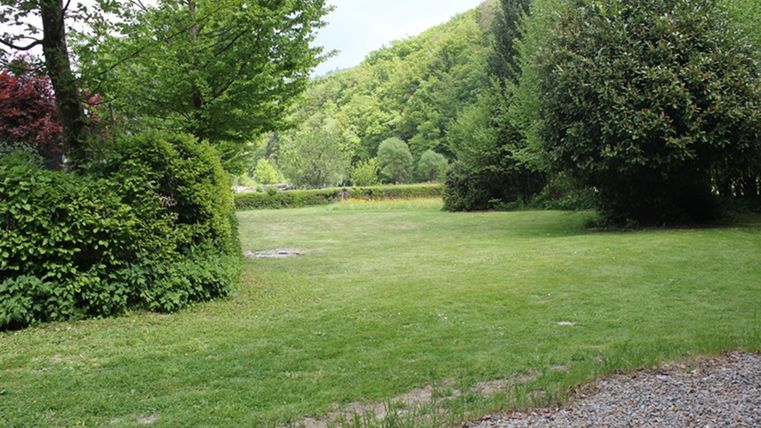 Eine grüne Wiese umgeben von Bäumen und Sträuchern. Im Hintergrund sind sanfte Hügel zu sehen.