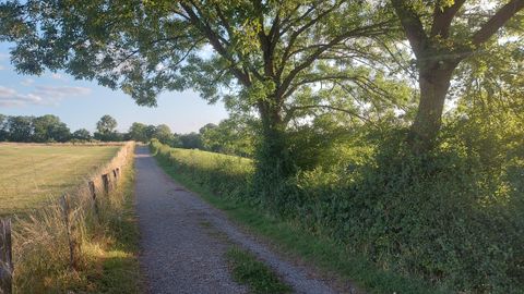 A narrow path winds through a green landscape with trees and a clear sky. The scene appears calm and idyllic.