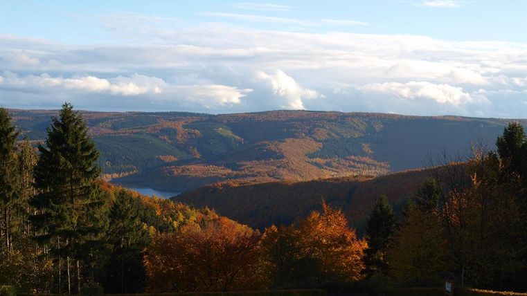 Een schilderachtig uitzicht op een bosrijk dal met herfstkleuren. Op de achtergrond zijn zachte heuvels en een meer te zien.