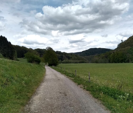 Vallée de la Rur Dedenborn-Einruhr, © Gemeinde Simmerath