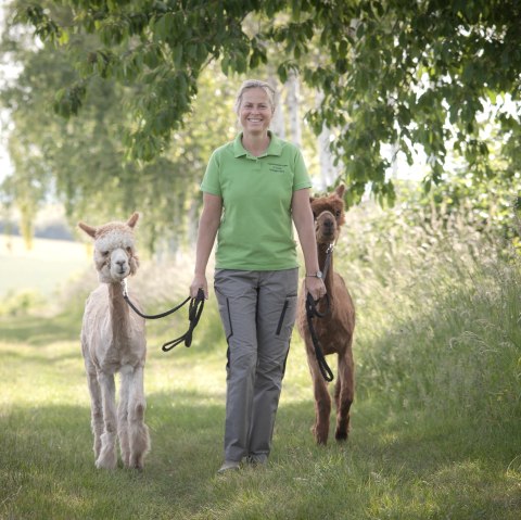 Alpaca wandeling door de natuur, © Anne Knein